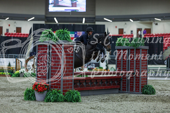 2025 - Shea - Royal West - Saturday October 18th - 00924