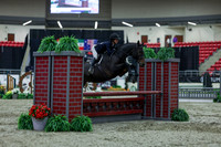2025 - Shea - Royal West - Saturday October 18th - 00926