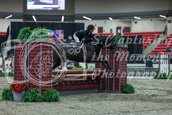 2025 - Shea - Royal West - Saturday October 18th - 00929
