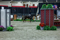 2025 - Shea - Royal West - Saturday October 18th - 00943