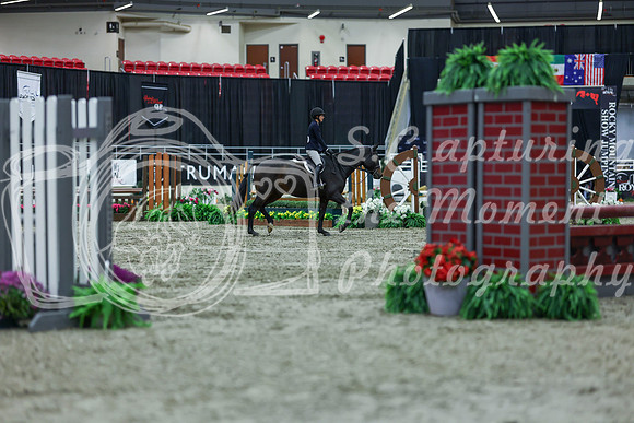 2025 - Shea - Royal West - Saturday October 18th - 00943
