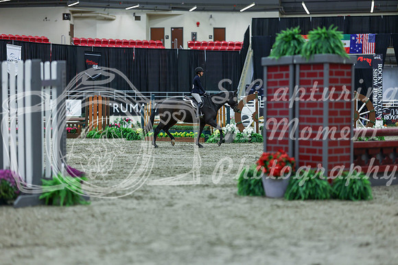 2025 - Shea - Royal West - Saturday October 18th - 00944