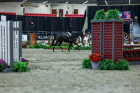 2025 - Shea - Royal West - Saturday October 18th - 00945