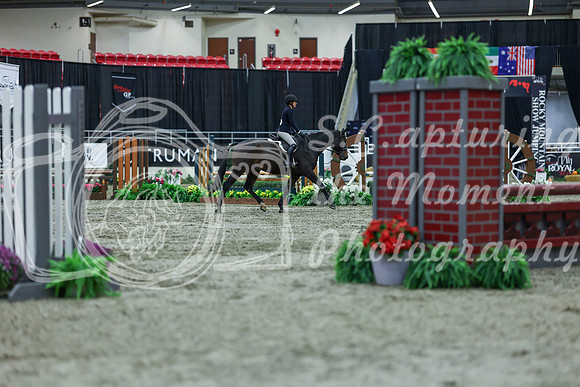2025 - Shea - Royal West - Saturday October 18th - 00946