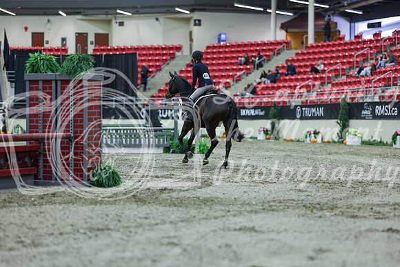 2025 - Shea - Royal West - Saturday October 18th - 00976