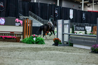 2025 - Shea - Royal West - Saturday October 18th - 01600
