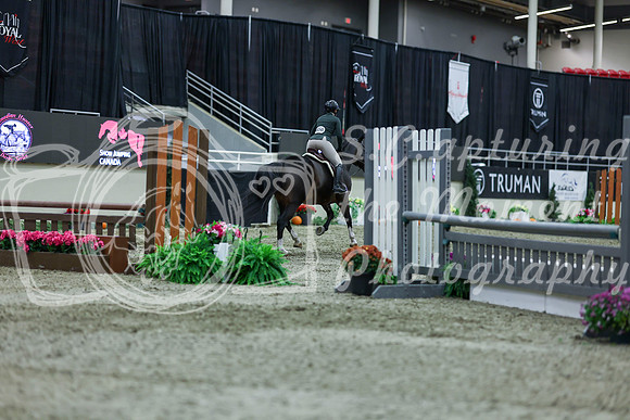 2025 - Shea - Royal West - Saturday October 18th - 01600