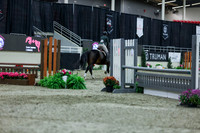 2025 - Shea - Royal West - Saturday October 18th - 01602