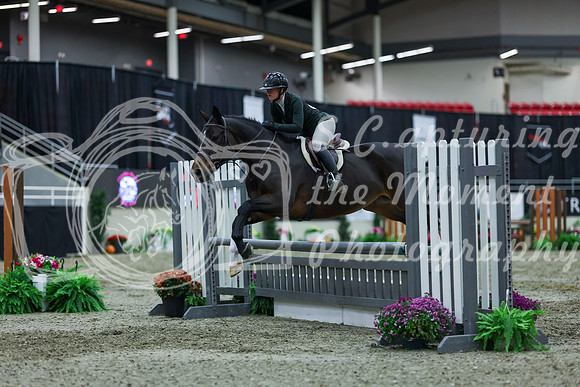 2025 - Shea - Royal West - Saturday October 18th - 01607