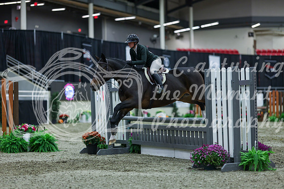 2025 - Shea - Royal West - Saturday October 18th - 01608