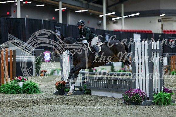 2025 - Shea - Royal West - Saturday October 18th - 01609