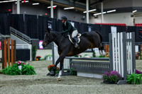 2025 - Shea - Royal West - Saturday October 18th - 01610