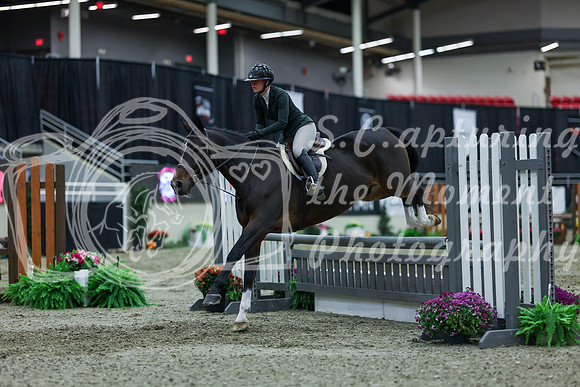 2025 - Shea - Royal West - Saturday October 18th - 01610