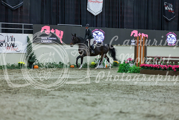2025 - Shea - Royal West - Saturday October 18th - 01660