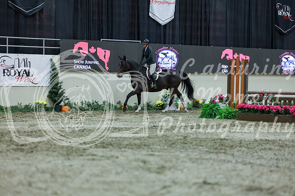 2025 - Shea - Royal West - Saturday October 18th - 01661