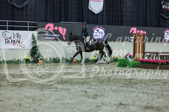 2025 - Shea - Royal West - Saturday October 18th - 01662
