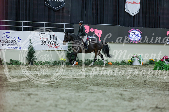 2025 - Shea - Royal West - Saturday October 18th - 01665