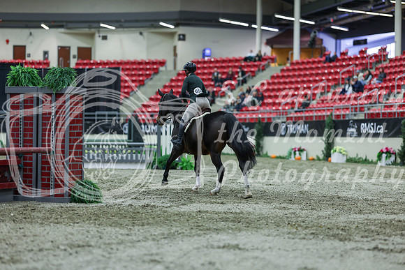 2025 - Shea - Royal West - Saturday October 18th - 01668