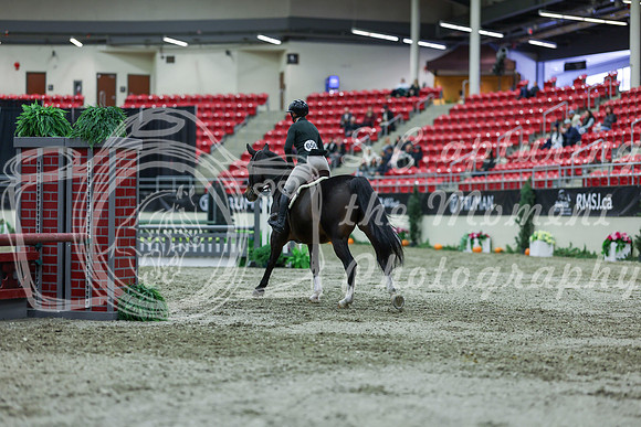 2025 - Shea - Royal West - Saturday October 18th - 01669