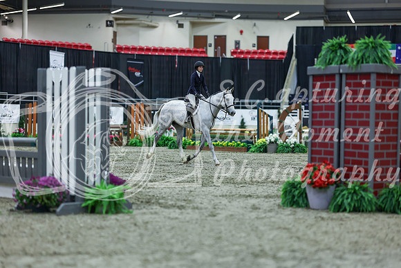 2025 - Shea - Royal West - Saturday October 18th - 00841