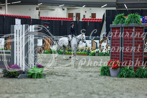 2025 - Shea - Royal West - Saturday October 18th - 00843