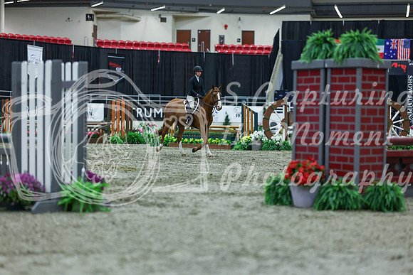 2025 - Shea - Royal West - Saturday October 18th - 01259
