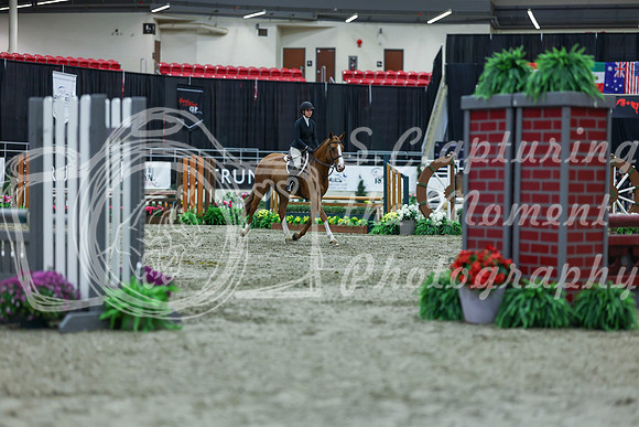 2025 - Shea - Royal West - Saturday October 18th - 01257