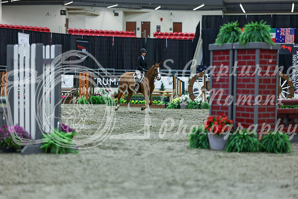 2025 - Shea - Royal West - Saturday October 18th - 01260