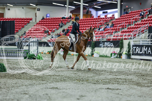 2025 - Shea - Royal West - Saturday October 18th - 01261