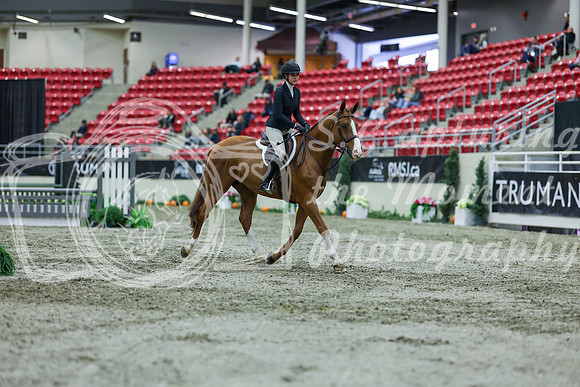 2025 - Shea - Royal West - Saturday October 18th - 01262