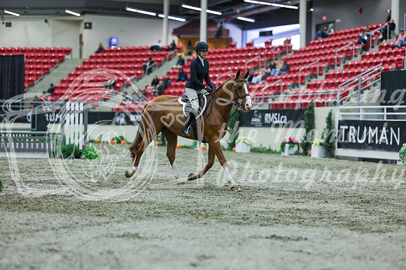 2025 - Shea - Royal West - Saturday October 18th - 01263