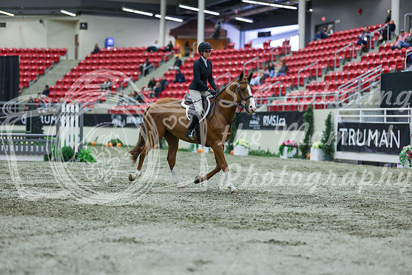 2025 - Shea - Royal West - Saturday October 18th - 01264