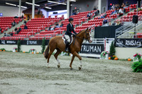 2025 - Shea - Royal West - Saturday October 18th - 01265