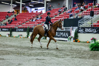 2025 - Shea - Royal West - Saturday October 18th - 01266