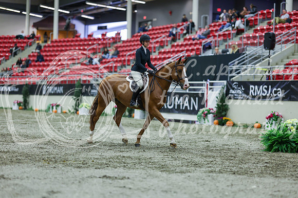 2025 - Shea - Royal West - Saturday October 18th - 01267