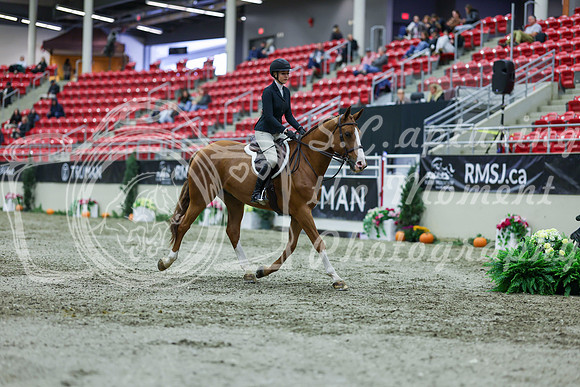 2025 - Shea - Royal West - Saturday October 18th - 01269