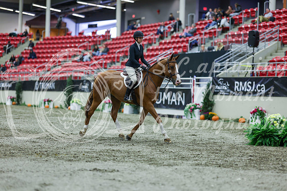 2025 - Shea - Royal West - Saturday October 18th - 01268