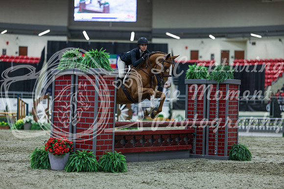 2025 - Shea - Royal West - Saturday October 18th - 01271