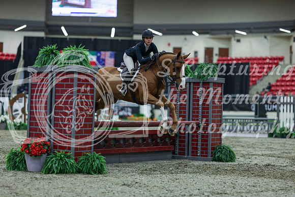2025 - Shea - Royal West - Saturday October 18th - 01274