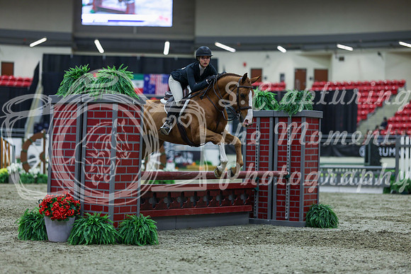 2025 - Shea - Royal West - Saturday October 18th - 01273