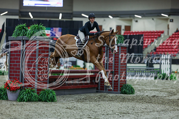 2025 - Shea - Royal West - Saturday October 18th - 01276