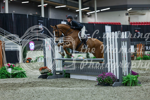 2025 - Shea - Royal West - Saturday October 18th - 01281