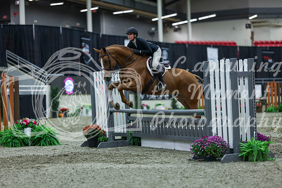 2025 - Shea - Royal West - Saturday October 18th - 01282