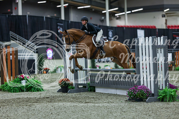 2025 - Shea - Royal West - Saturday October 18th - 01283