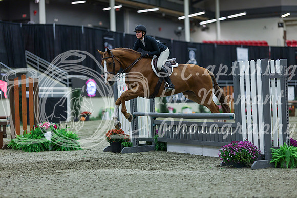 2025 - Shea - Royal West - Saturday October 18th - 01284