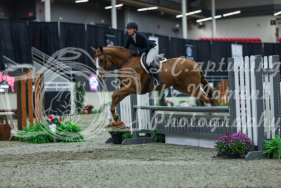 2025 - Shea - Royal West - Saturday October 18th - 01285