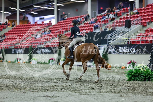 2025 - Shea - Royal West - Saturday October 18th - 01326