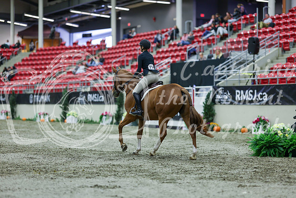2025 - Shea - Royal West - Saturday October 18th - 01327