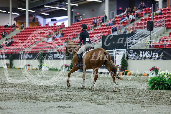 2025 - Shea - Royal West - Saturday October 18th - 01328