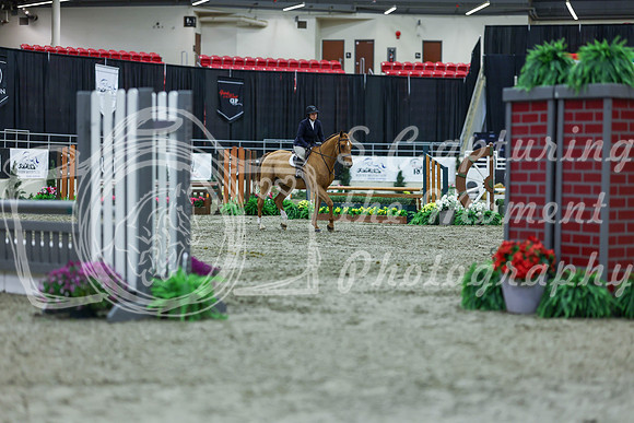 2025 - Shea - Royal West - Saturday October 18th - 01288
